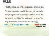 冀教版英語（2024） 七年級上冊 Unit 5 Lesson 5 Save the tigers!課件