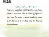 冀教版英語（2024） 七年級上冊 Unit 5 Lesson 5 Save the tigers!課件