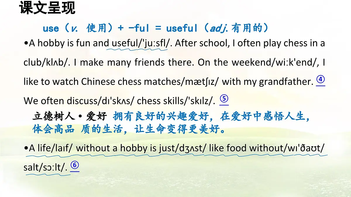 冀教版英语（2024） 七年级上册 Unit 3 Lesson 4 What do you like to do课件第5页