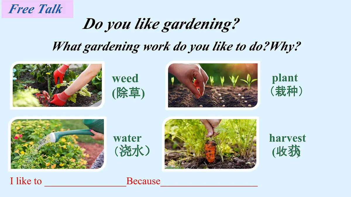 Unit 8 I love nature! Lesson 2 Gardening with Mary 课件 2024-2025学年冀教版英语七年级下册第6页