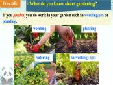 Unit 8 I love nature! Lesson 2 Gardening with Mary 課件 2024-2025學(xué)年冀教版英語(yǔ)七年級(jí)下冊(cè)