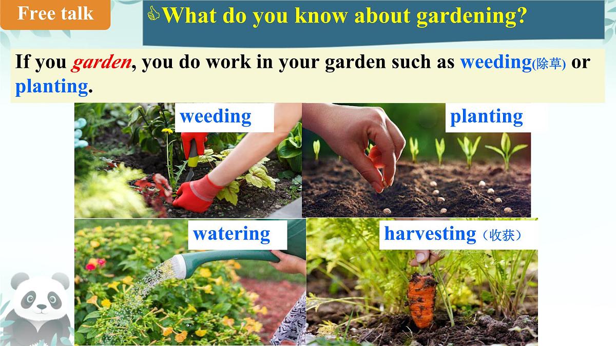 Unit 8 I love nature! Lesson 2 Gardening with Mary 课件 2024-2025学年冀教版英语七年级下册第3页