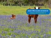 Unit 4 Amazing Plants and Animals Section A(1a-Pronunciation)-初中英語人教版（2024）八年級上冊課件