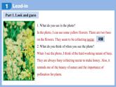 Unit 4 Amazing Plants and Animals Section A(1a-Pronunciation)-初中英語人教版（2024）八年級上冊課件