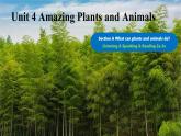 Unit 4 Amazing Plants and Animals Section A(2a-2e)-初中英語(yǔ)人教版（2024）八年級(jí)上冊(cè)課件