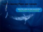Unit 4 Amazing Plants and Animals Section B(3a-Reflecting)-初中英語人教版（2024）八年級上冊課件