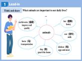 Unit 4 Amazing Plants and Animals Section B(1a-2d)-初中英語人教版（2024）八年級上冊課件