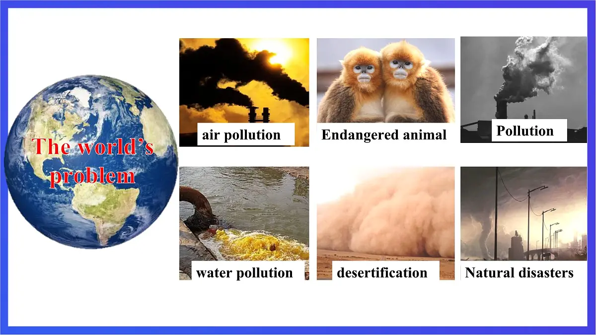 【公开课】人教新目标(Go for it)版英语九年级全册 Unit 13《We're trying to save the earth.》SectionA1a-2c课件第5页