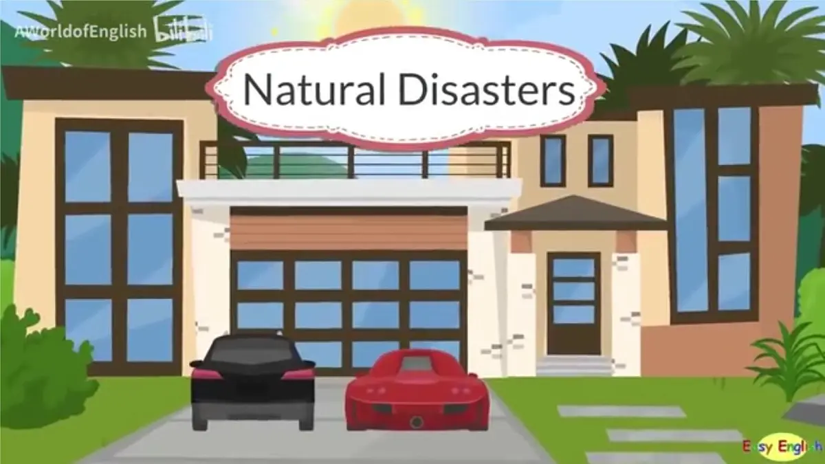 Unit 6 When disaster strikes Presenting ideas（教学课件）-初中英语外研版（2024）八年级上册第6页