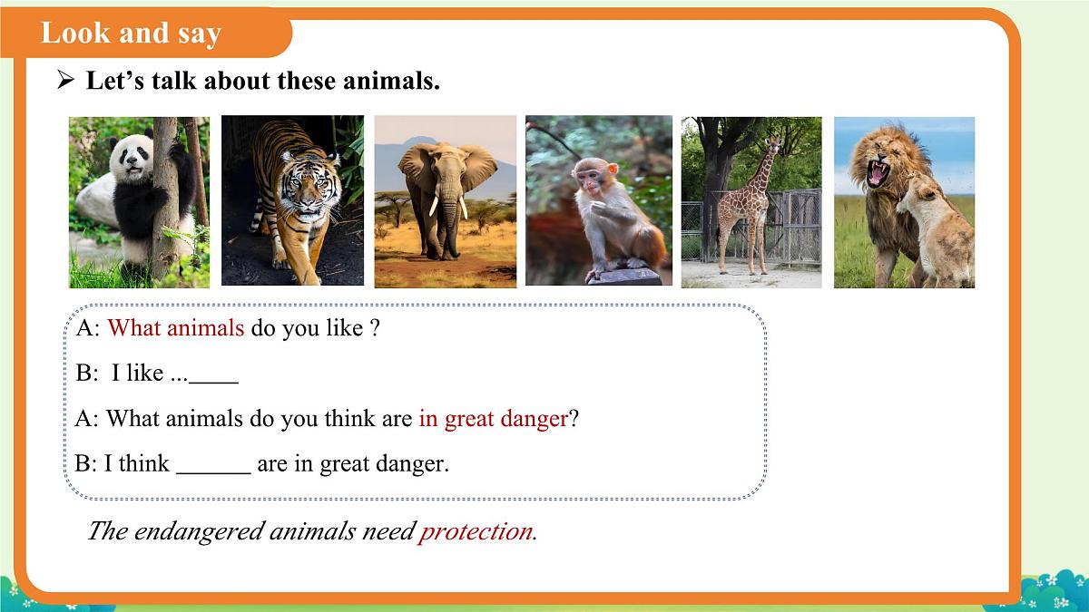 Unit 8 I love nature! Lesson 3 课件 英语冀教版（2024）七年级下册第4页
