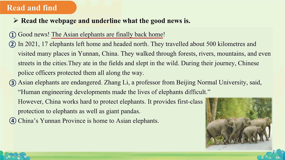 Unit 8 I love nature! Lesson 3 课件 英语冀教版（2024）七年级下册第6页