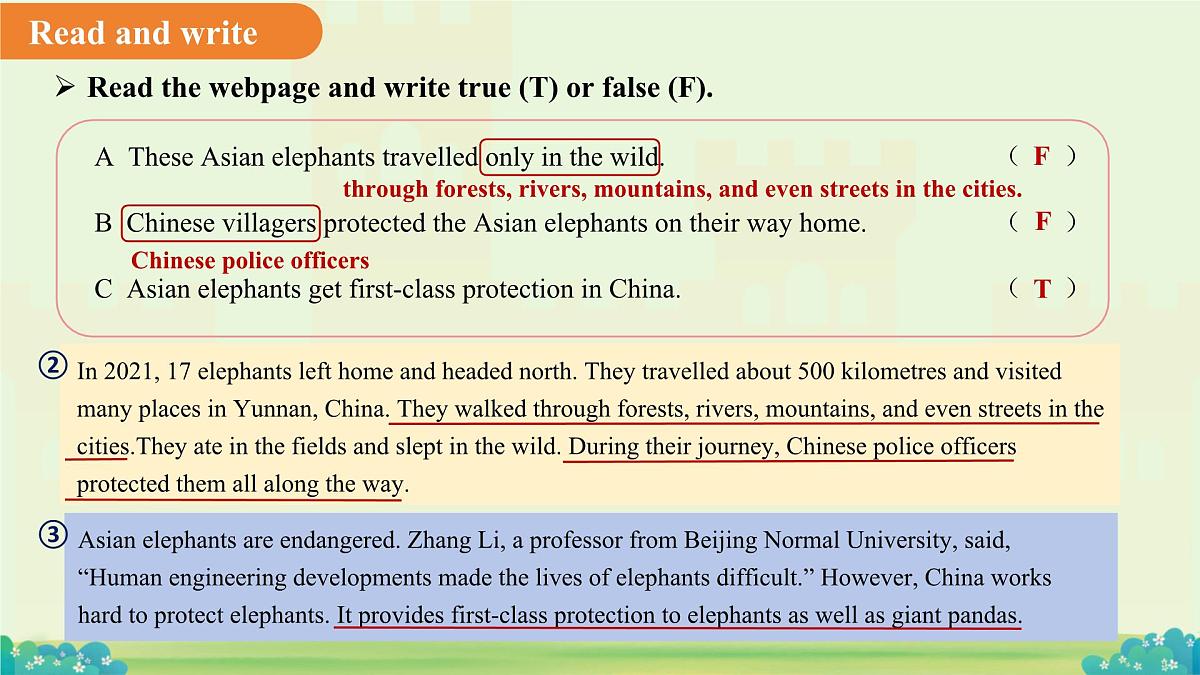 Unit 8 I love nature! Lesson 3 课件 英语冀教版（2024）七年级下册第7页