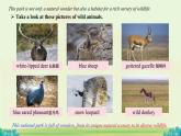 Unit 8 I love nature! Lesson 5 課件 英語(yǔ)冀教版（2024）七年級(jí)下冊(cè)
