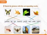 Unit 5 Animal friends 單元復(fù)習(xí) 課件 英語譯林版（2024）七年級下冊