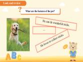 Unit 5 Animal friends第7課時 課件 英語譯林版（2024）七年級下冊
