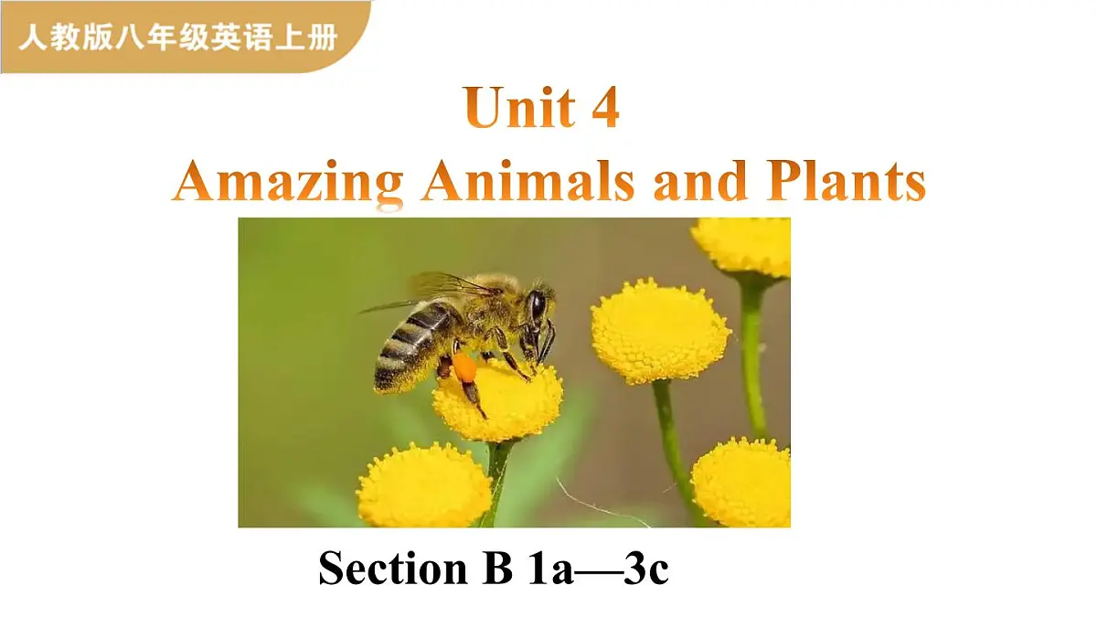 人教版（2024）英语八年级上册 Unit 4 Amazing Animals and Plants 第4课时 Section B 1a—3c（课件）第1页