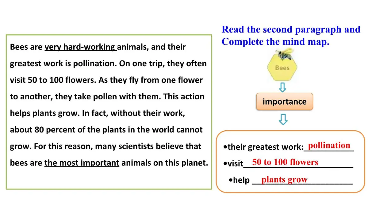 人教版（2024）英语八年级上册 Unit 4 Amazing Animals and Plants 第4课时 Section B 1a—3c（课件）第6页