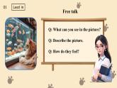 新譯林版初中英語(yǔ)7年級(jí)下冊(cè)Unit 5 Animal friends Grammar課件