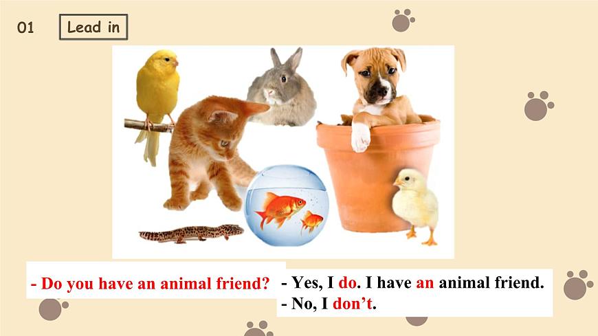 新译林版初中英语7年级下册Unit 5 Animal friends Welcome to the unit 课件第3页