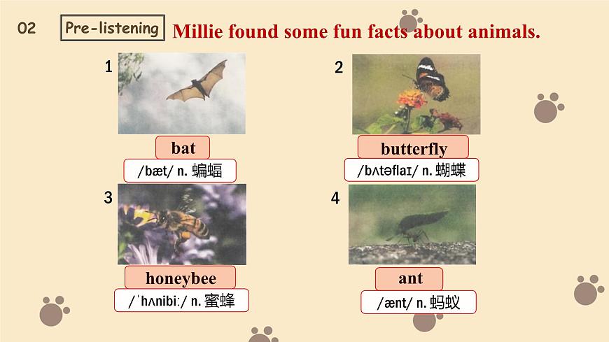 新译林版初中英语7年级下册Unit 5 Animal friends Welcome to the unit 课件第6页