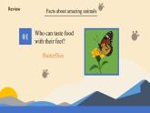 新譯林版初中英語(yǔ)7年級(jí)下冊(cè)Unit 5 Animal friends Integration 1 課件