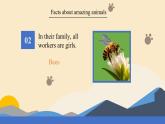 新譯林版初中英語(yǔ)7年級(jí)下冊(cè)Unit 5 Animal friends Integration 1 課件