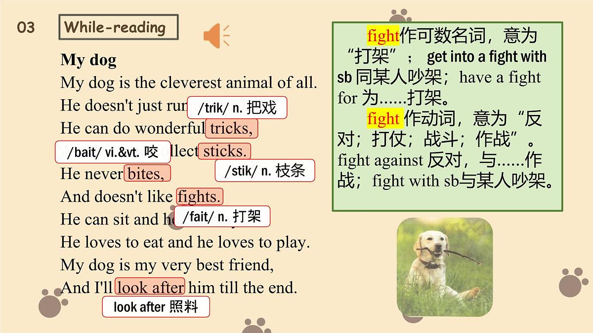 新译林版初中英语7年级下册Unit 5 Animal friends Reading 1课件第7页
