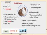 新譯林版初中英語(yǔ)7年級(jí)下冊(cè)Unit 5 Animal friends Integration 2 課件