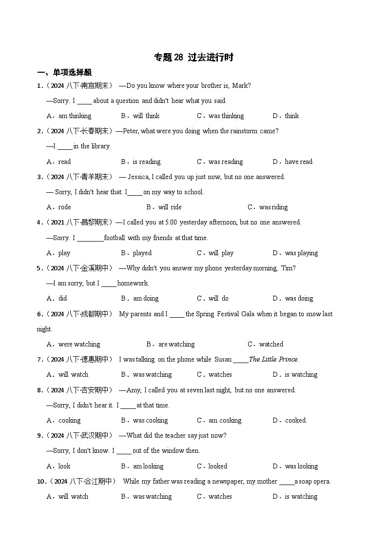 专题28 过去进行时-2025年八年级英语下册暑假语法真题专练（通用版）（含答案+解析）第1页