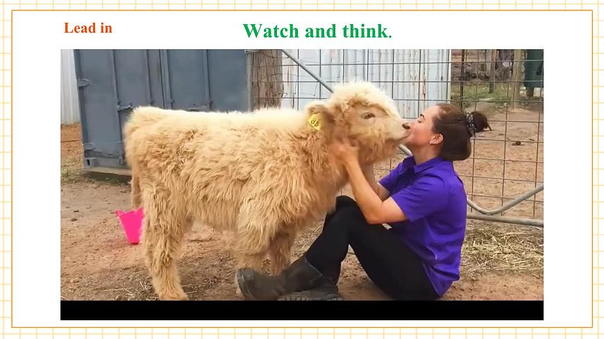 Unit4 Our animal friends 第5课时Focus on culture教学课件第4页