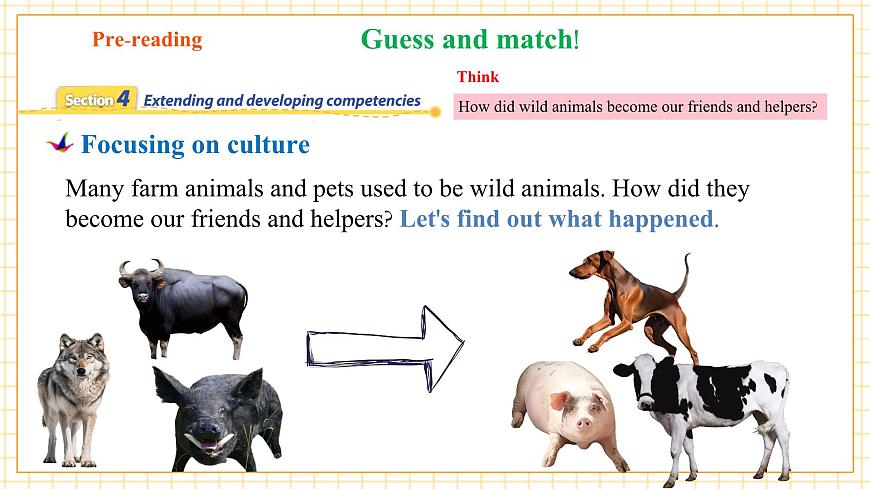 Unit4 Our animal friends 第5课时Focus on culture教学课件第8页