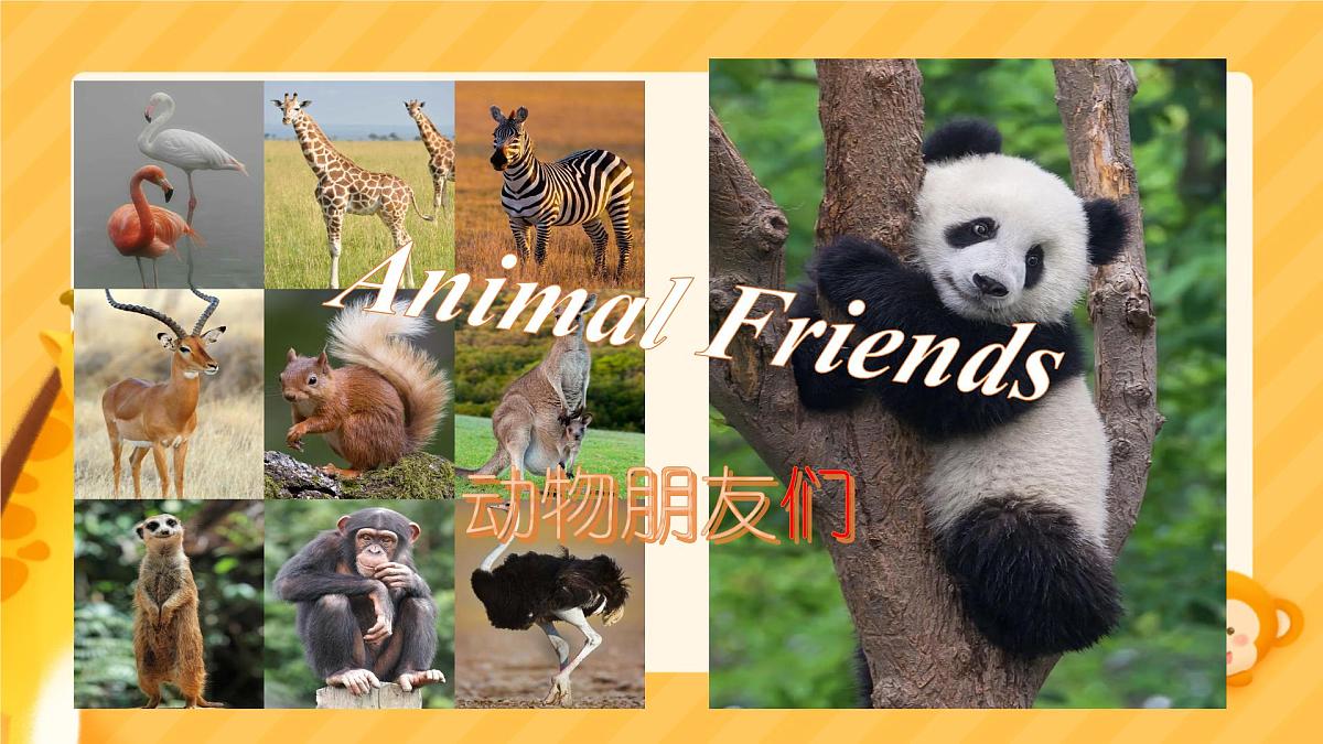 初中  英语  人教版（2024）  七年级下册Unit 1   Animal Friends Section B 课件第1页