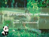 人教版（2024）英语八年级上册 Unit 4 Amazing Plants and Animals SectionA 1a-Prounciation（课件）