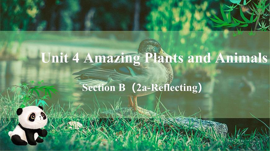 人教版（2024）英语八年级上册 Unit 4 Amazing Plants and Animals SectionB 2a-Reflecting（课件）第1页