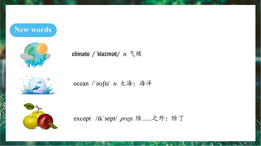 人教版（2024）英语八年级上册 Unit 4 Amazing Plants and Animals SectionB 2a-Reflecting（课件）第5页