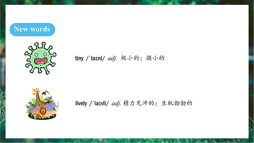 人教版（2024）英语八年级上册 Unit 4 Amazing Plants and Animals SectionB 2a-Reflecting（课件）第6页