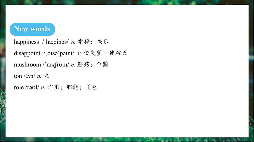 人教版（2024）英语八年级上册 Unit 4 Amazing Plants and Animals SectionB 2a-Reflecting（课件）第7页