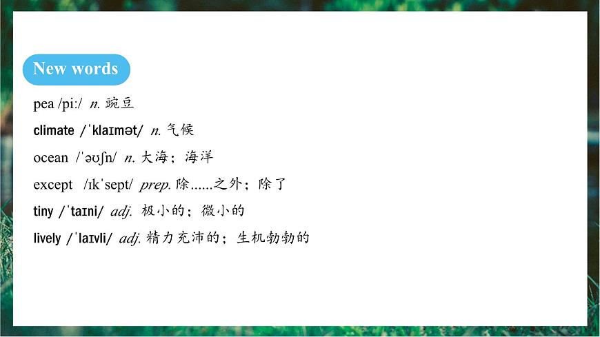 人教版（2024）英语八年级上册 Unit 4 Amazing Plants and Animals SectionB 2a-Reflecting（课件）第8页