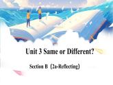 人教版（2024）英语八年级上册 Unit 3 Same or Different SectionB 2a-Reflecting（课件）