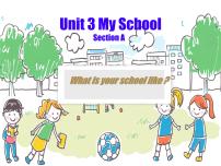 初中英语Unit 6 A Day in the Life Section A课堂教学课件ppt
