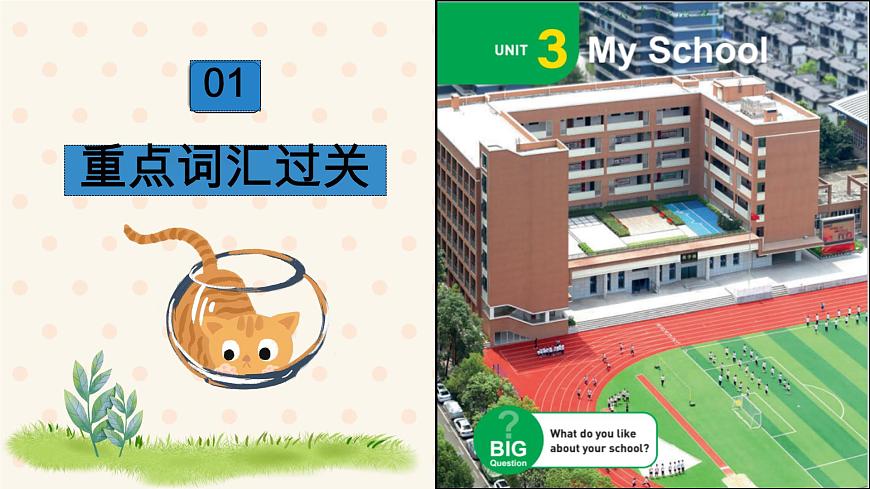 初中  英语  人教版（2024）  七年级上册Unit 3 My School 单元知识点过关 课件第3页