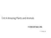 初中英语新人教版八年级上册Unit 4 Amazing Plants and Animals重点单词词组用法解析 课件（2025秋）