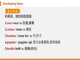 學(xué)案 2025 新外研七上 U6 Developing ideas 知識點匯總PPT版（可編輯）