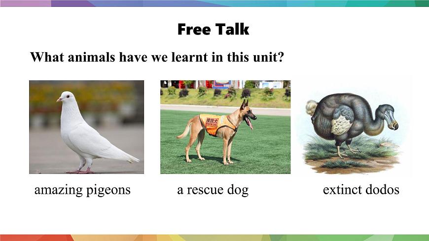 2025年外研版七年级英语上册Unit 5  Fantastic friends Lesson 5 Presenting ideas（课件）第3页