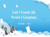 沪教牛津版（六三制三起）英语九上 Unit3《Family life》第3课时Grammar课件+教案