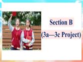 人教版（2024）英语八年级上册  Unit 3 Same or DifferentSection B(3a—3c Project)（课件）