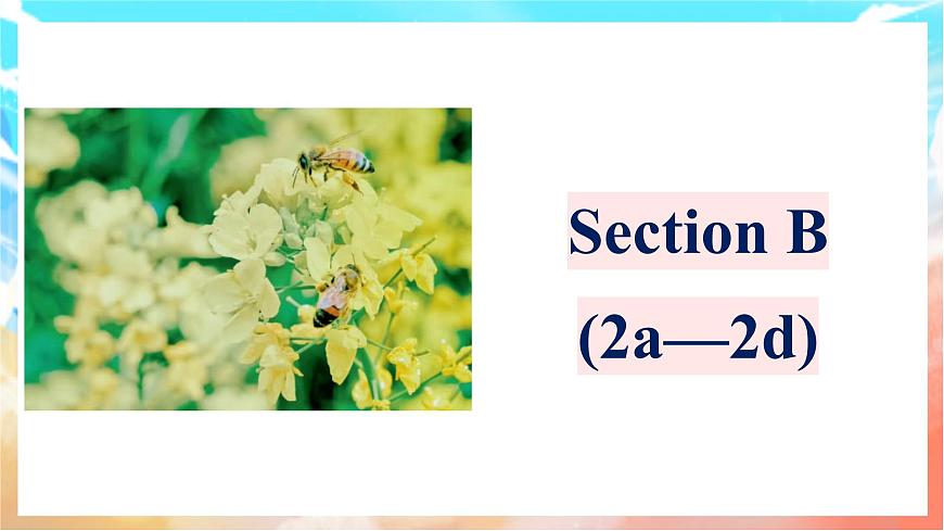 人教版（2024）英语八年级上册  Unit 4 Amazing Plants and Animals Section B(2a—2d)（课件）第1页