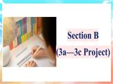 人教版（2024）英语八年级上册  Unit 6 Plan for Yourself Section B(3a—3c Project)（课件）