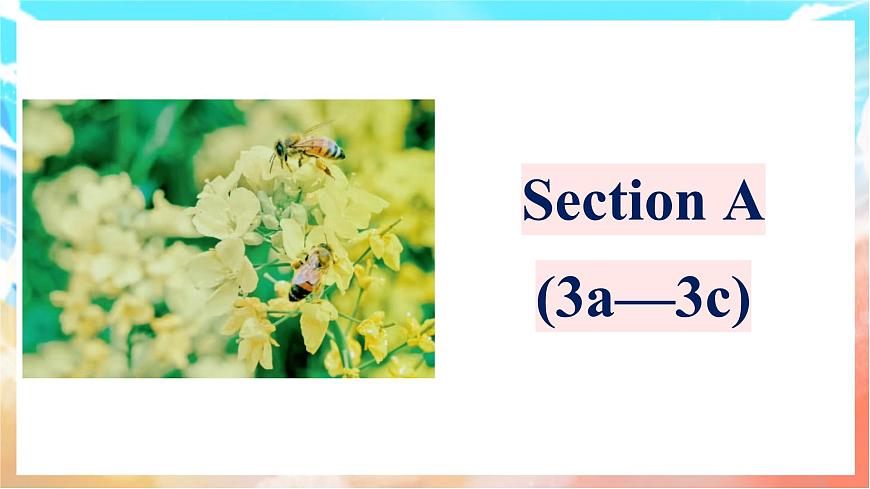 人教版（2024）英语八年级上册  Unit 4 Amazing Plants and Animals Section A(3a—3c)（课件）第1页