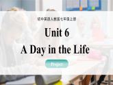 人教版七年級英語上冊同步課件 Unit 6 課時 6 Project(3a-3c)&Reflecting 精品課件（包含音視頻）
